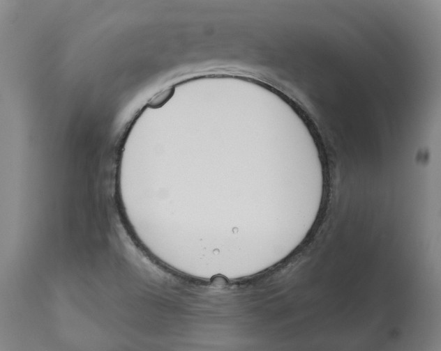 X0000112761504200909171238