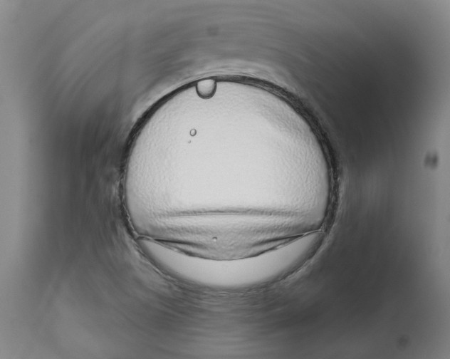 X0000112761505200909171238