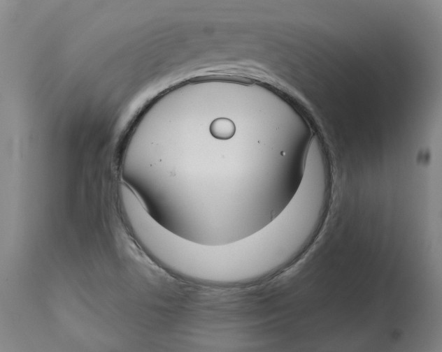 X0000112761506200909171238