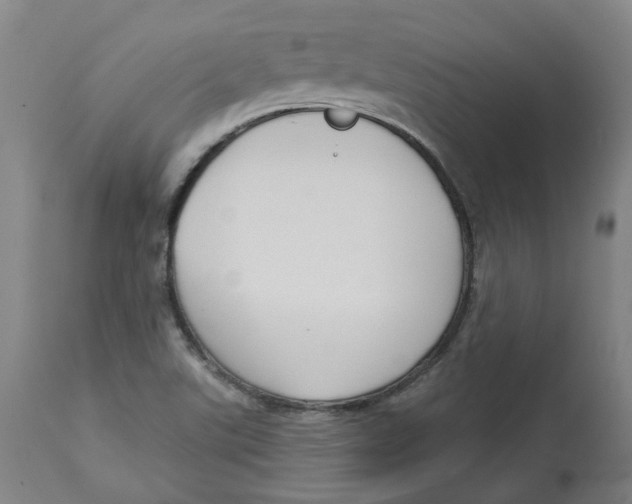 X0000112761507200909171238