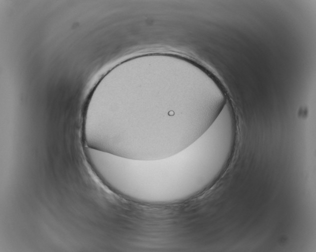 X0000112761508200909171238
