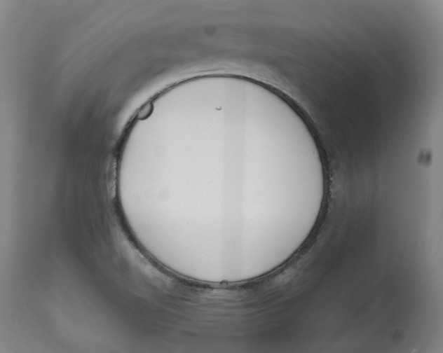 X0000112761510200909171238
