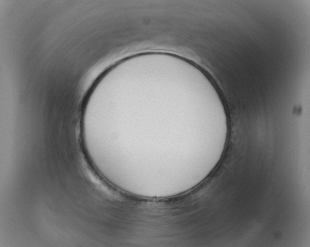 X0000112761511200909171238