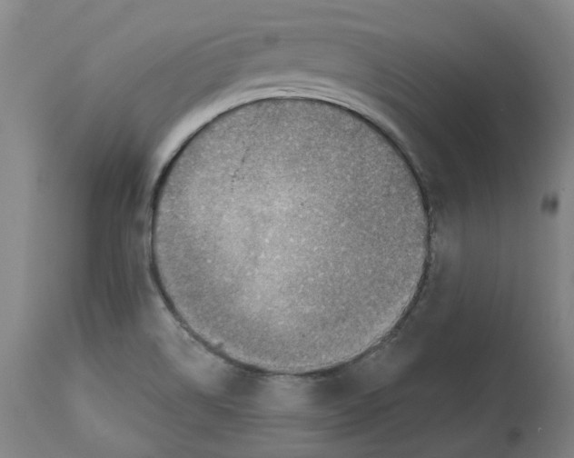 X0000112761514200909171238