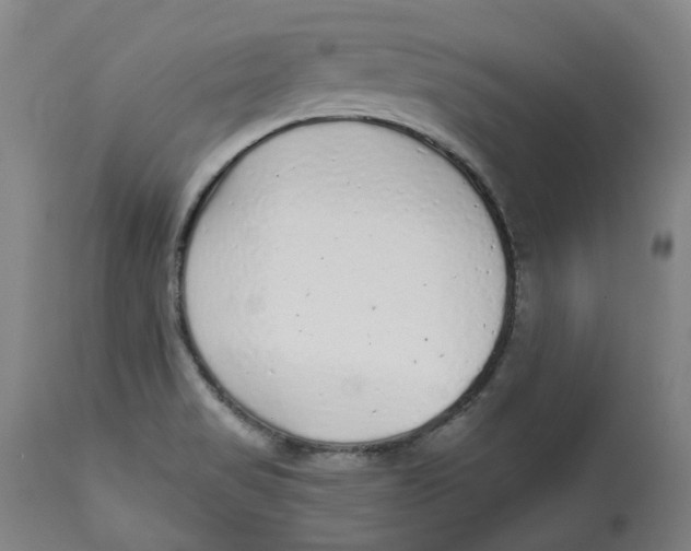 X0000112761517200909171238