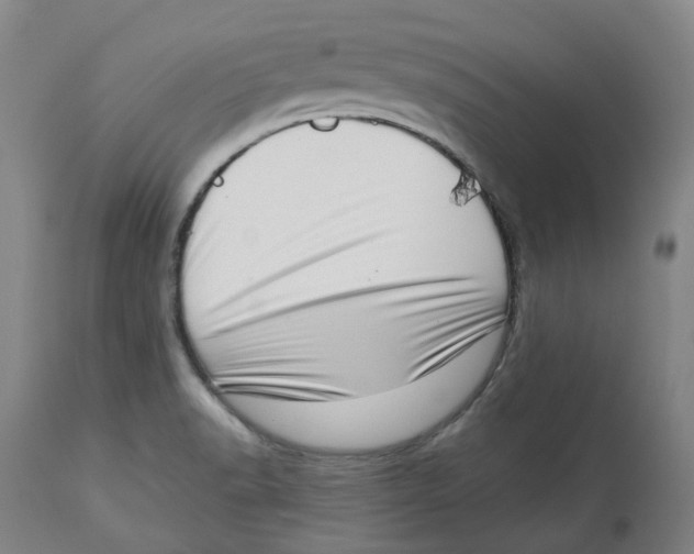 X0000112761518200909171238