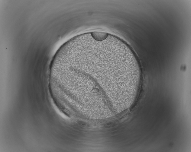 X0000112761519200909171238