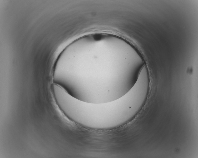 X0000112761520200909171238