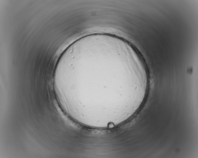 X0000112761521200909171238
