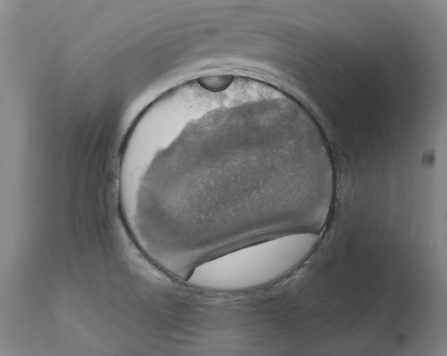 X0000112761522200909171238