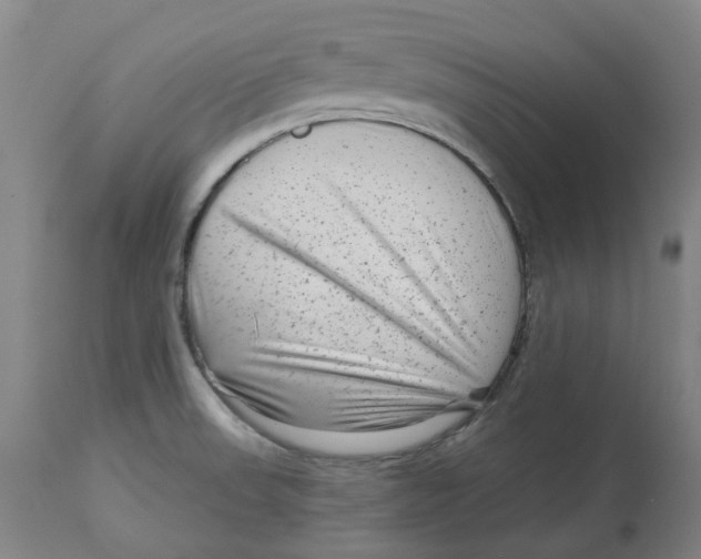 X0000112761523200909171238