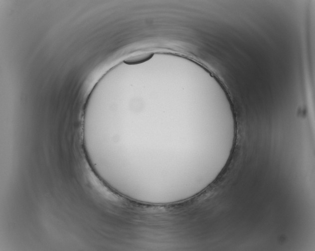 X0000112761524200909171238