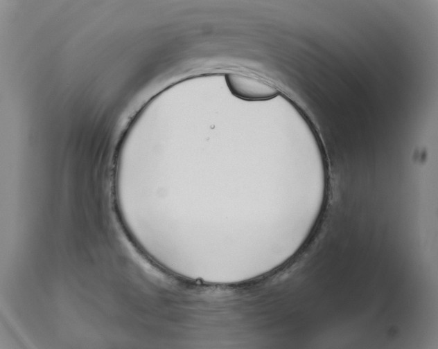 X0000112761525200909171238