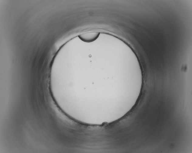 X0000112761526200909171238