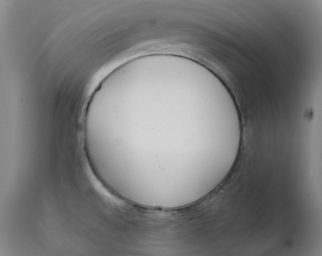 X0000112761528200909171238