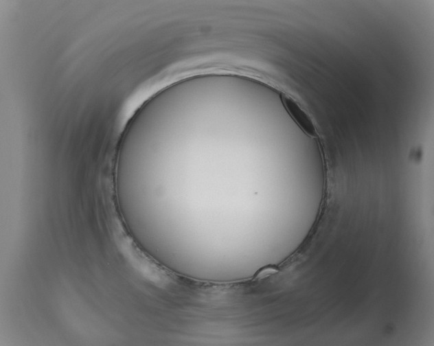 X0000112761530200909171238