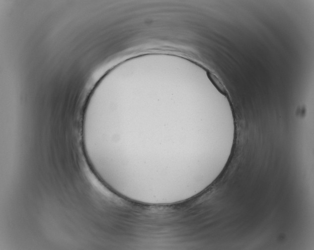 X0000112761531200909171238
