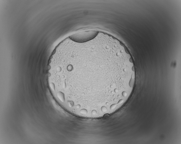 X0000112761534200909171238