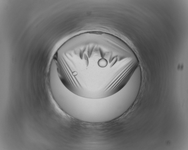 X0000112761536200909171238