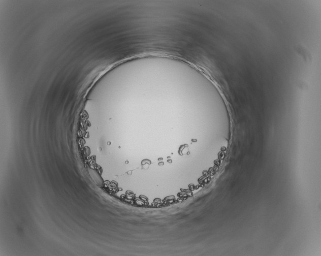 X0000112760001200910011225