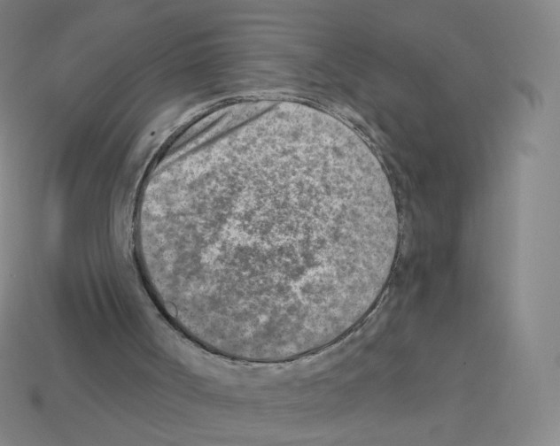 X0000112760002200910011225