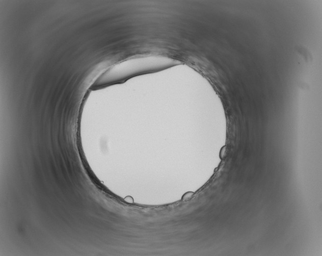 X0000112760003200910011225
