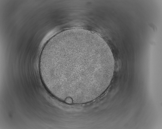 X0000112760004200910011225