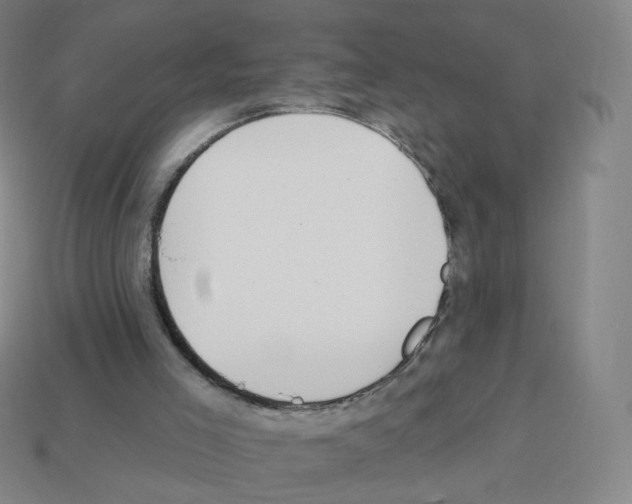 X0000112760005200910011225