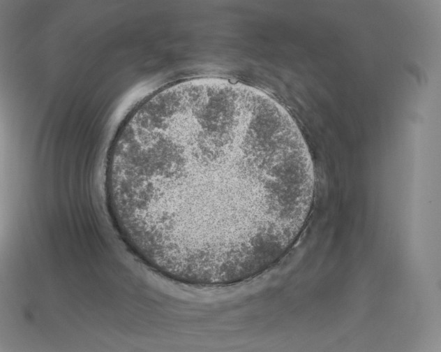 X0000112760006200910011225
