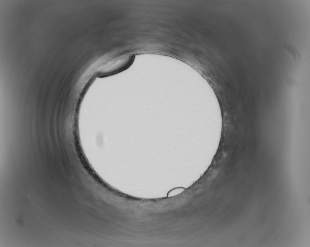 X0000112760007200910011225