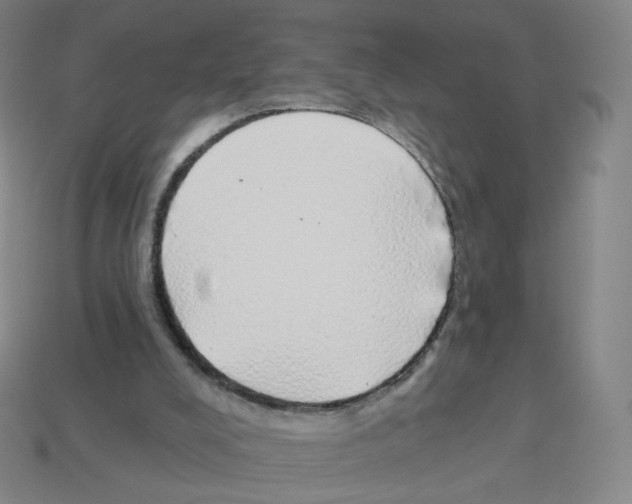 X0000112760008200910011225