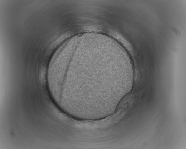 X0000112760009200910011225