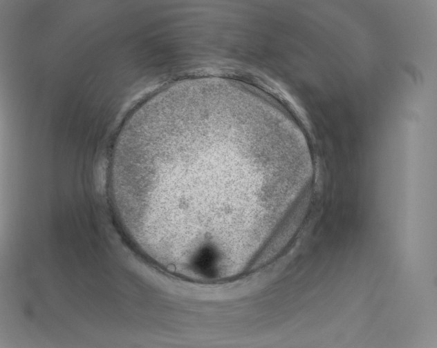 X0000112760010200910011225