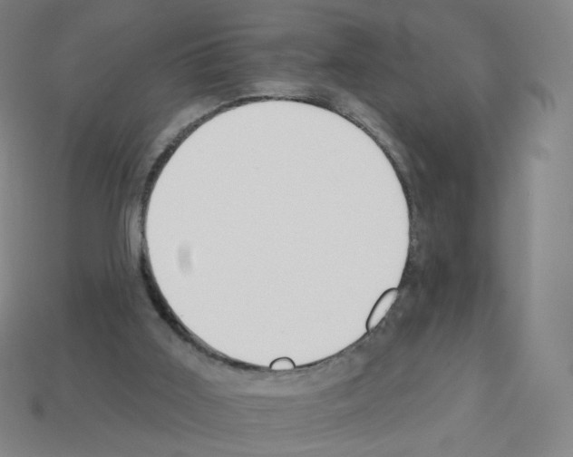 X0000112760011200910011225
