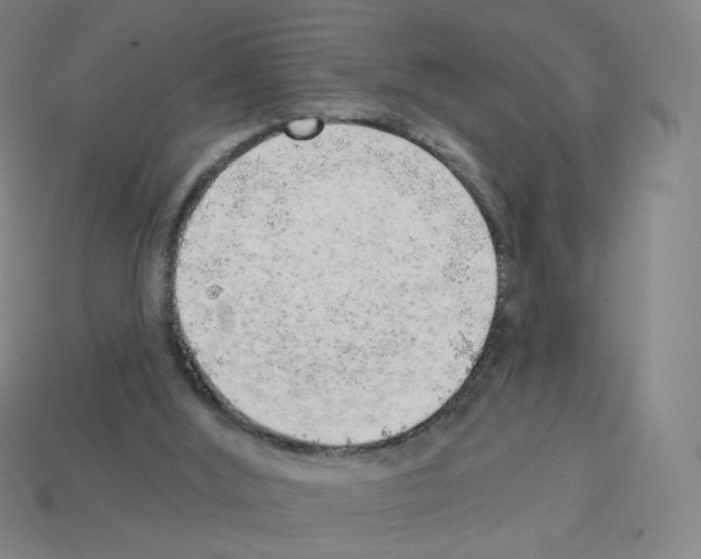 X0000112760012200910011225