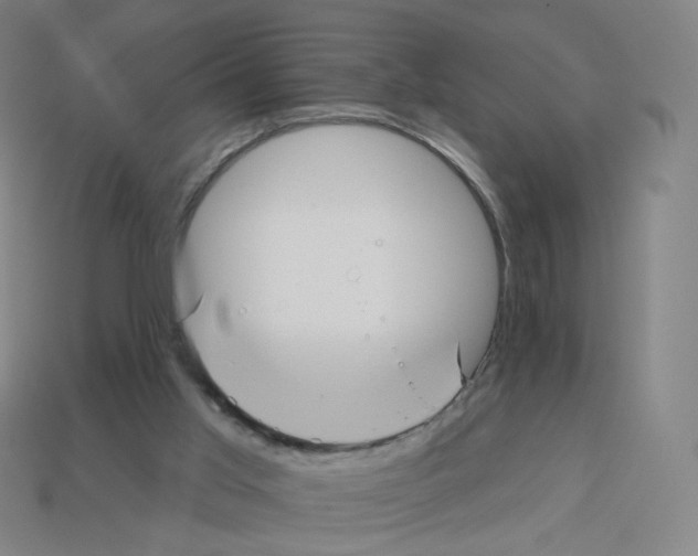 X0000112760013200910011225
