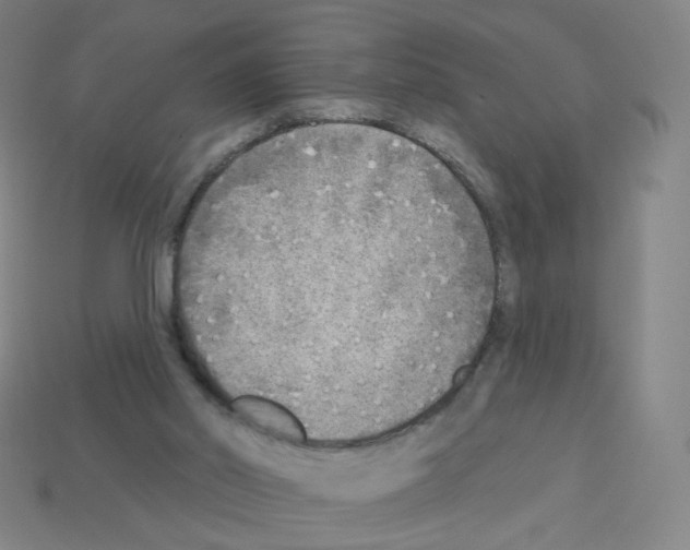 X0000112760014200910011225