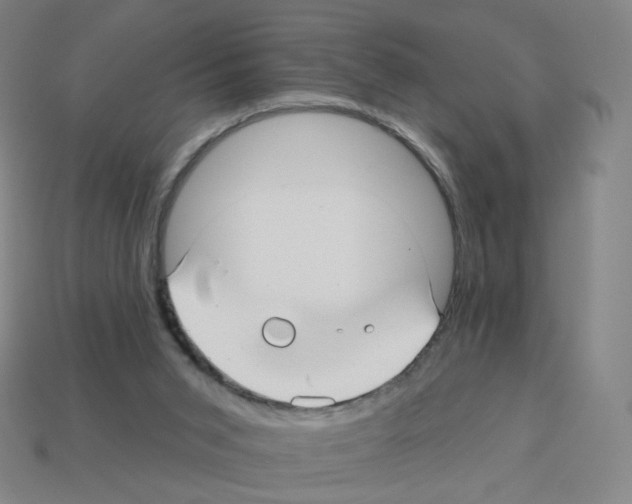 X0000112760015200910011225