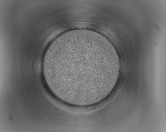 X0000112760016200910011225
