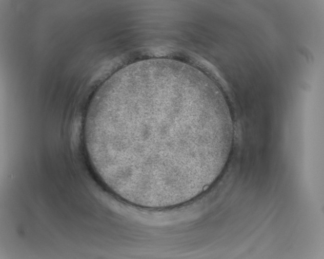 X0000112760018200910011225