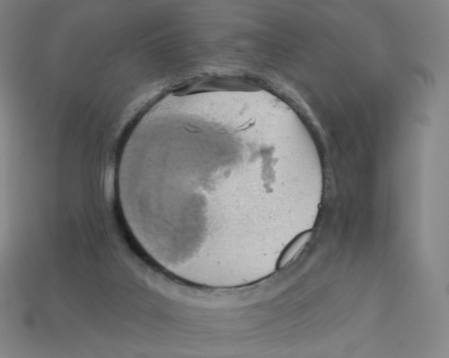 X0000112760019200910011225