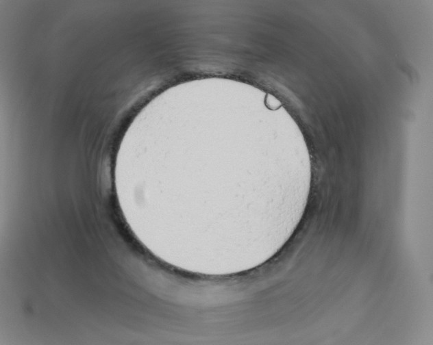 X0000112760020200910011225