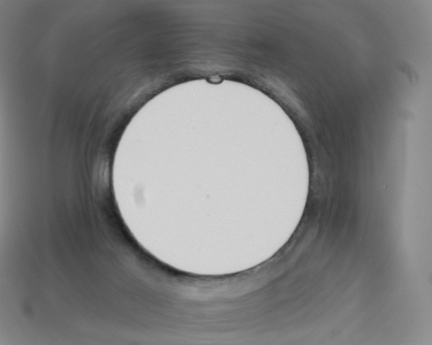 X0000112760021200910011225