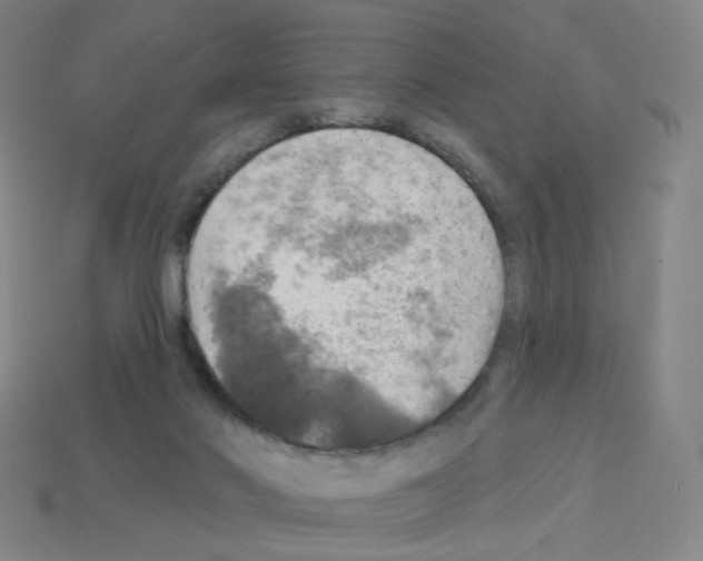 X0000112760022200910011225