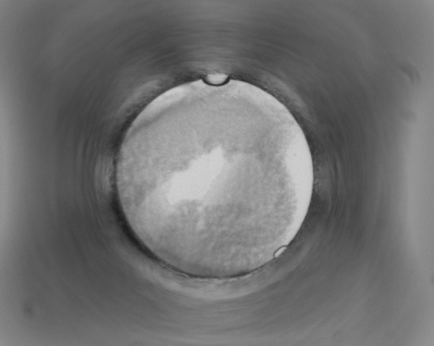 X0000112760023200910011225