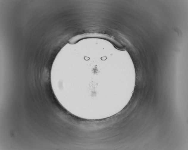 X0000112760025200910011225