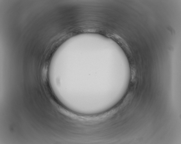 X0000112760026200910011225