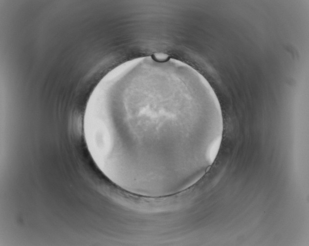 X0000112760027200910011225