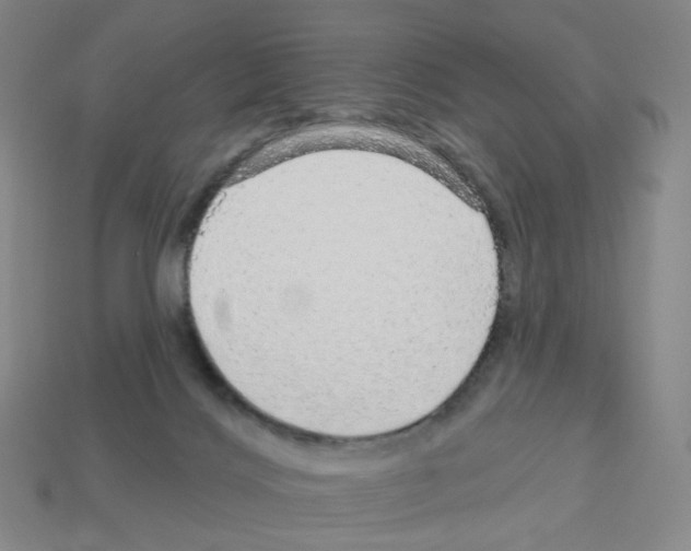 X0000112760028200910011225