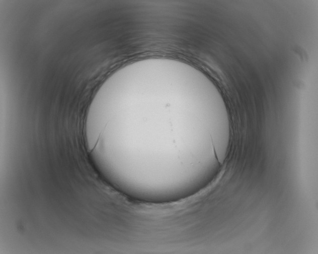 X0000112760029200910011225